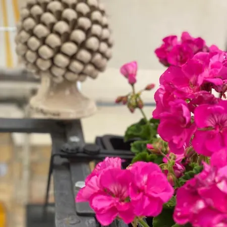 Meravigghia * Cefalu